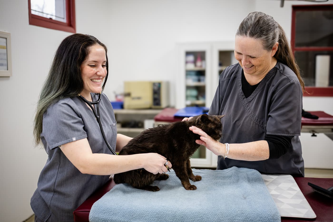 Dental Services Image